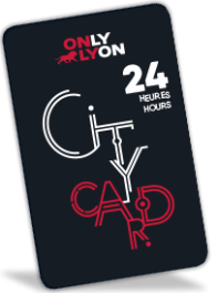 Lyon City Card 24h : Adulte