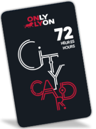 Lyon City Card 72h : Adulte