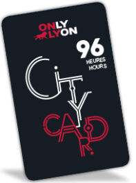 Lyon City Card 96h : Adulte