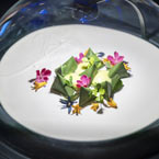 © E. Laurent / EPPDC