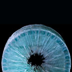 Marcoville, Lumières célestes